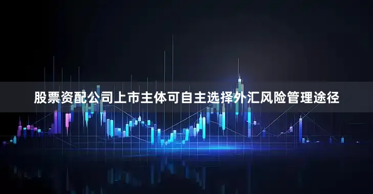股票资配公司上市主体可自主选择外汇风险管理途径