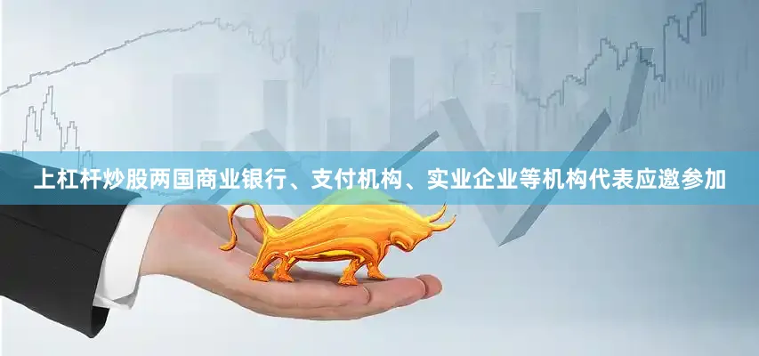上杠杆炒股两国商业银行、支付机构、实业企业等机构代表应邀参加