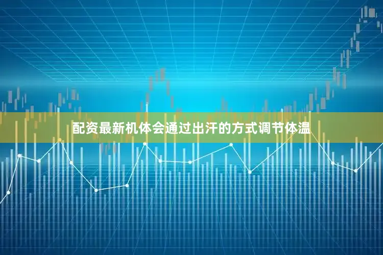 配资最新机体会通过出汗的方式调节体温